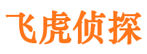 武平市侦探调查公司